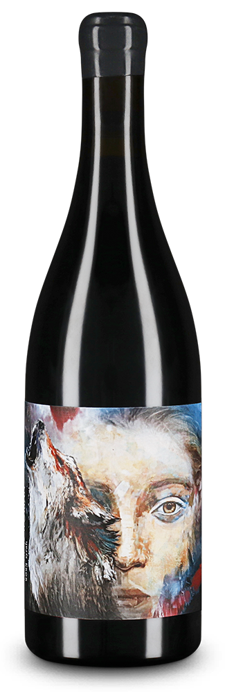 Syrah 2024