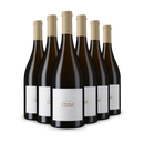 6x Edda Bianco Salento 2024