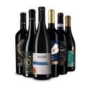 Unsere Rotwein-Tipps zum Fondue