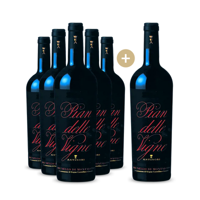 5+1 Antinori Pian delle Vigne Brunello di Montalcino 2019