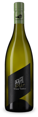 Grüner Veltliner pur 2025 – persönliche Empfehlung