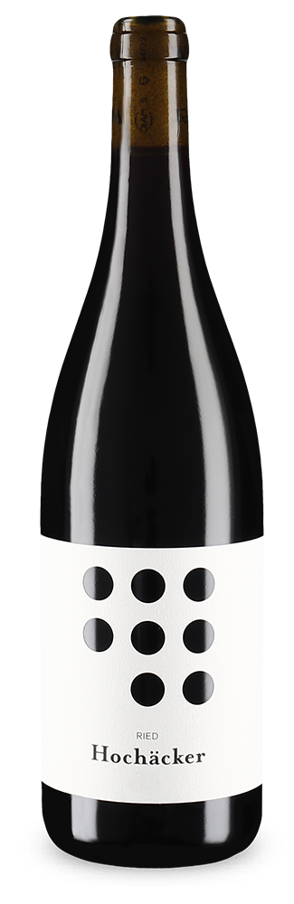 Blaufränkisch Ried Hochäcker 2023