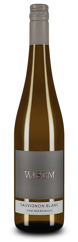 Sauvignon Blanc vom Meereskalk trocken 2025