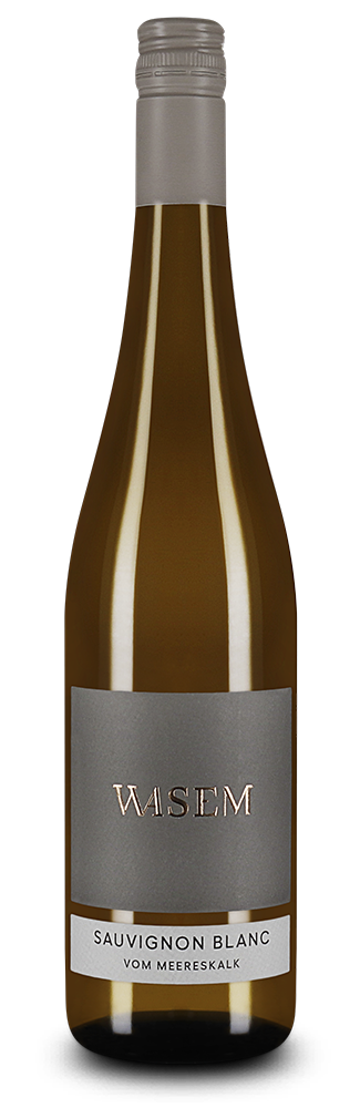 Sauvignon Blanc vom Meereskalk trocken 2025