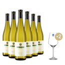 6 Flaschen Riesling sur lie 2014 + 2 Weingläser