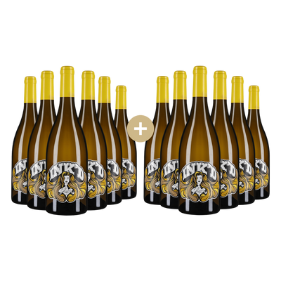 6+6 gratis: Chardonnay Réserve 2025