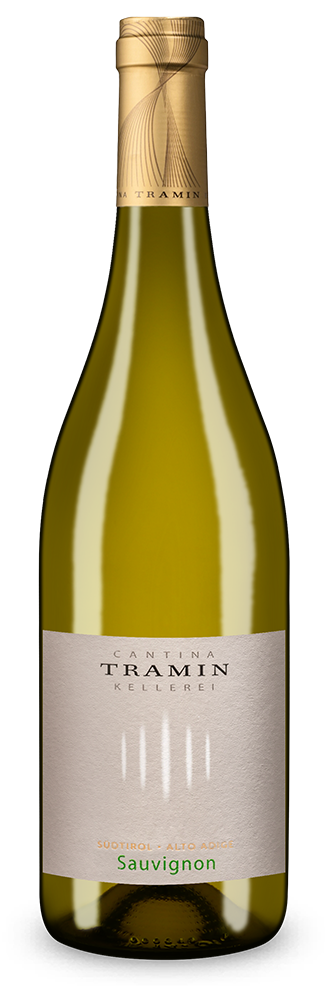 Sauvignon 2025