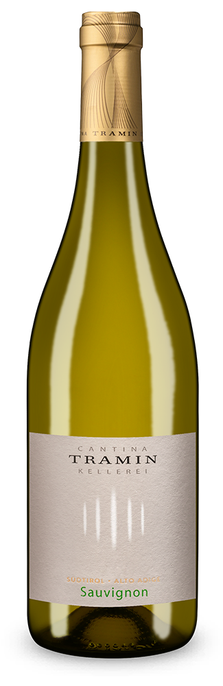 Sauvignon 2025