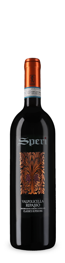 Valpolicella Ripasso Classico Superiore 2024