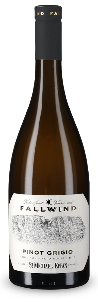 Fallwind Pinot Grigio 2025