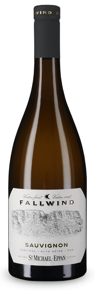 Fallwind Sauvignon 2025
