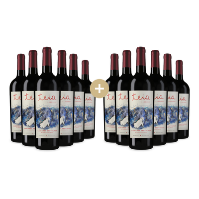 6+6 gratis: Teia Mendoza Cabernet Sauvignon & Cabernet Franc 2024