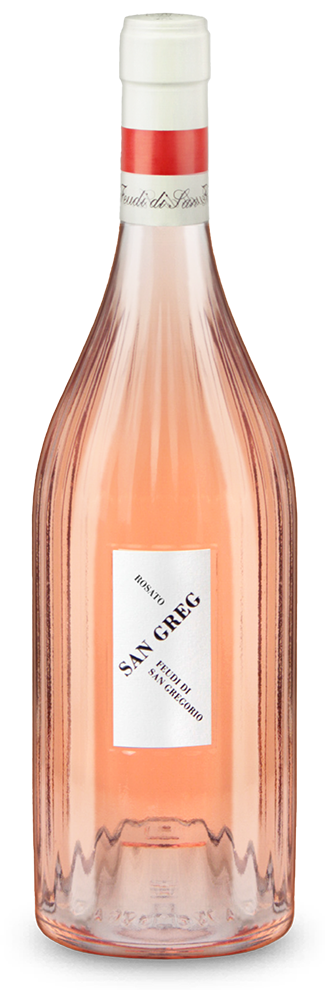San Greg Campania Rosato 2025