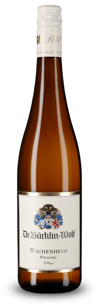 Wachenheim Village Riesling trocken 2025