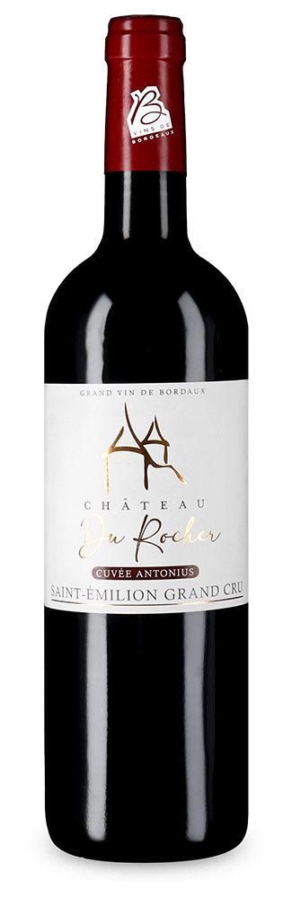Saint-Émilion Grand Cru 2020