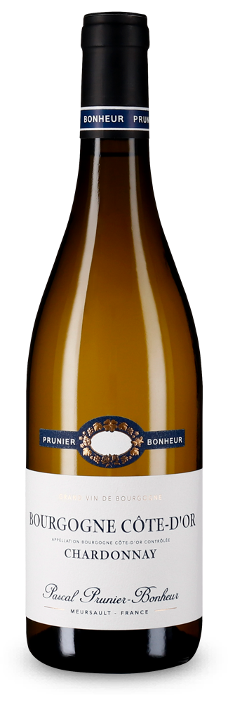 Bourgogne Côte d'Or Chardonnay 2024
