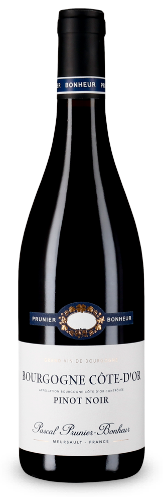 Bourgogne Côte d'Or Pinot Noir 2024