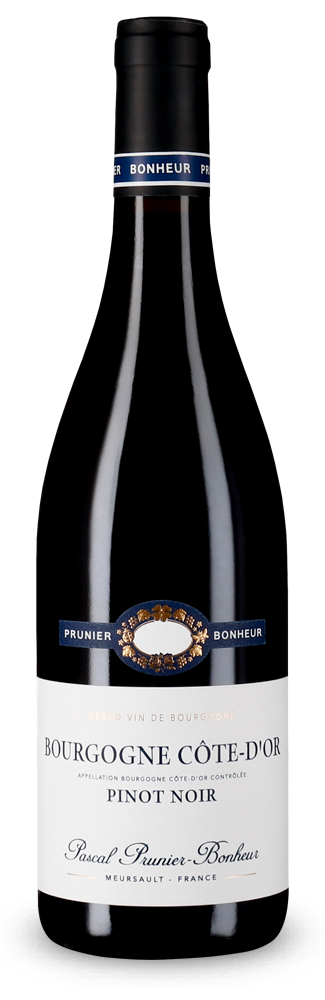 Bourgogne Côte d'Or Pinot Noir 2024