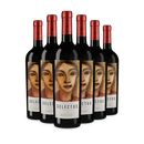 6x Selectus 2007