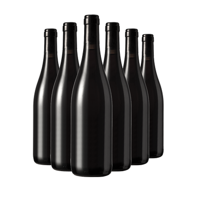 Überraschungs-Set: Premium-Edition